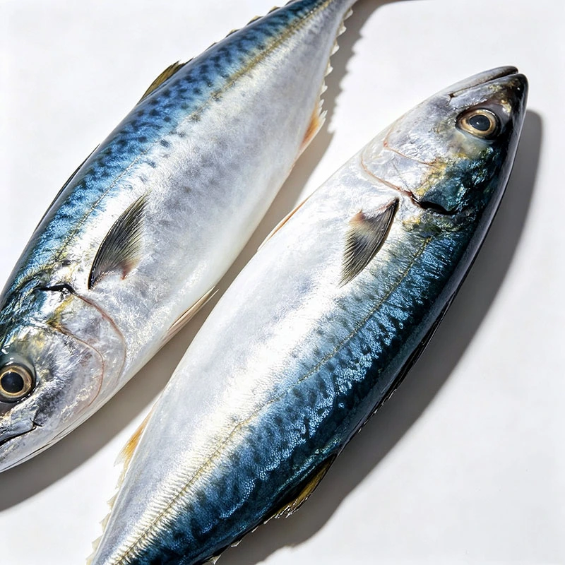 天然サバ